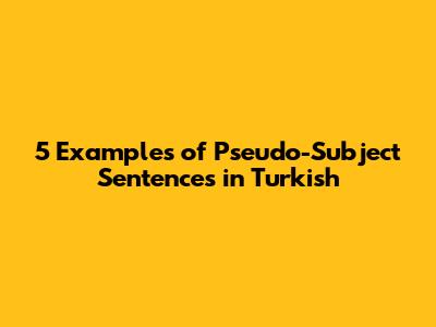 5 Examples of Pseudo-Subject Sentences in Turkish
