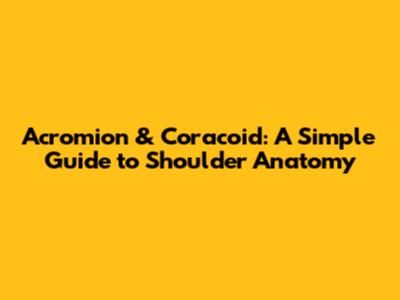 Acromion & Coracoid: A Simple Guide to Shoulder Anatomy