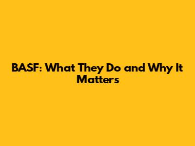 BASF: What They Do and Why It Matters