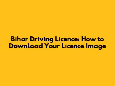 Bihar Driving Licence: How to Download Your Licence Image