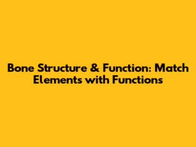 Bone Structure & Function: Match Elements with Functions