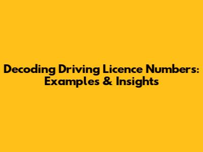 Decoding Driving Licence Numbers: Examples & Insights