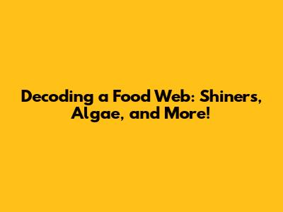 Decoding a Food Web: Shiners, Algae, and More!