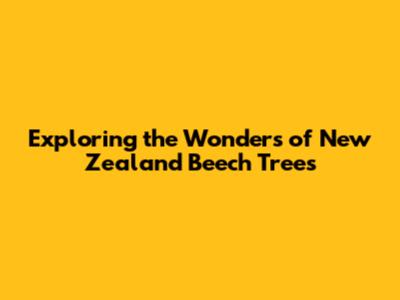 Exploring the Wonders of New Zealand Beech Trees