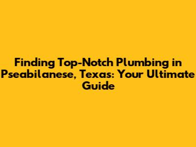 Finding Top-Notch Plumbing in Pseabilanese, Texas: Your Ultimate Guide