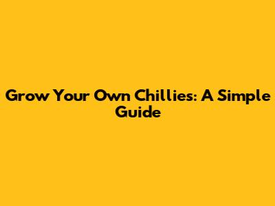Grow Your Own Chillies: A Simple Guide