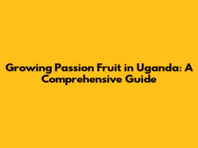 Growing Passion Fruit in Uganda: A Comprehensive Guide