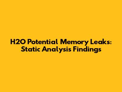 H2O Potential Memory Leaks: Static Analysis Findings
