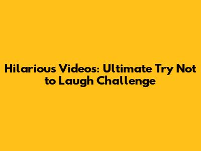 Hilarious Videos: Ultimate Try Not to Laugh Challenge