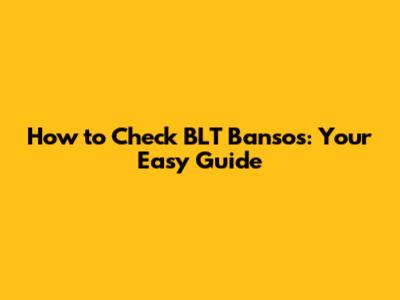 How to Check BLT Bansos: Your Easy Guide