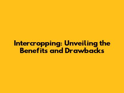 Intercropping: Unveiling the Benefits and Drawbacks