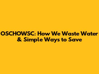 OSCHOWSC: How We Waste Water & Simple Ways to Save
