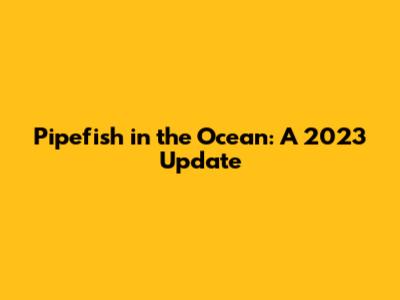 Pipefish in the Ocean: A 2023 Update