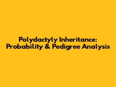 Polydactyly Inheritance: Probability & Pedigree Analysis