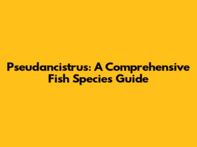 Pseudancistrus: A Comprehensive Fish Species Guide