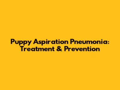 Puppy Aspiration Pneumonia: Treatment & Prevention