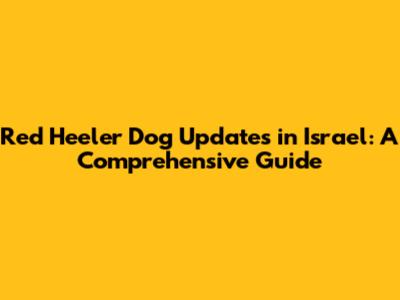 Red Heeler Dog Updates in Israel: A Comprehensive Guide