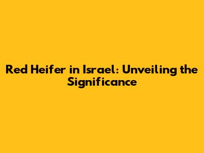 Red Heifer in Israel: Unveiling the Significance