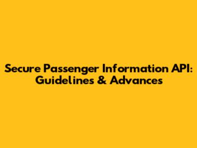 Secure Passenger Information API: Guidelines & Advances