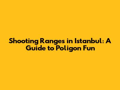 Shooting Ranges in Istanbul: A Guide to Poligon Fun