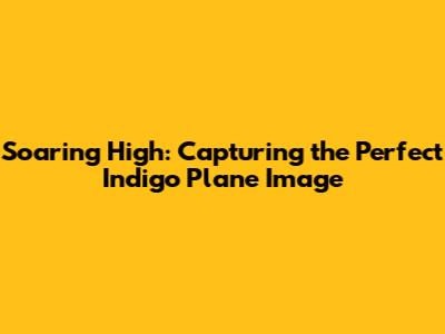 Soaring High: Capturing the Perfect Indigo Plane Image