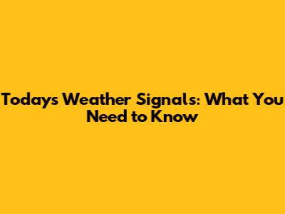 Today's Weather Signals: What You Need to Know