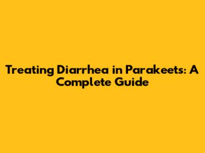Treating Diarrhea in Parakeets: A Complete Guide