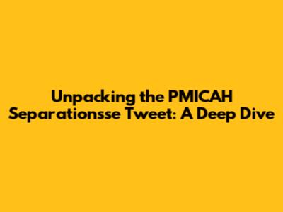 Unpacking the PMICAH Separationsse Tweet: A Deep Dive