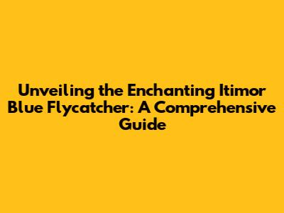Unveiling the Enchanting Itimor Blue Flycatcher: A Comprehensive Guide