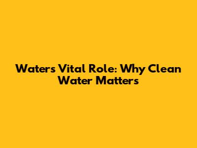 Water's Vital Role: Why Clean Water Matters