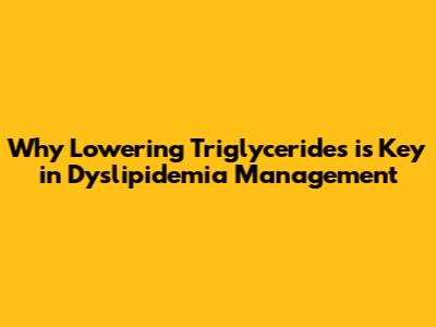 Why Lowering Triglycerides is Key in Dyslipidemia Management