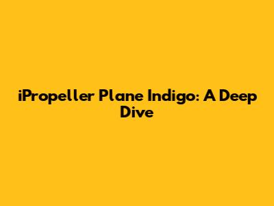 iPropeller Plane Indigo: A Deep Dive